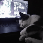 acceptmyfriendrequestbruh