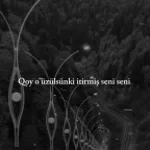 Qoy o uzulsun ki itirmis seni seni Sag salamat