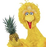 Hey Sisters ! James charles meme Green screen Funny sound effec