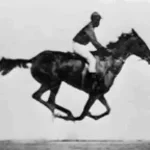 horse-galloping-animation