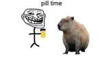 i love my capybara! pill time