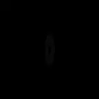 (TADC) Disappearing guy sings the national anthem