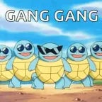 gang gang