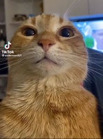 tower defense simulator ost nuclear monster