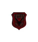 I Own a Missile For Homeland Defense