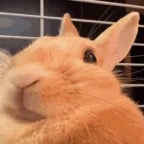 Давай ты сможешь... - Sound