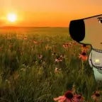 lo-fi_piano_cat_renamed