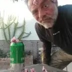 Que si quieres queso