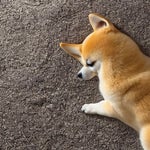 Im sorry for the dramatics