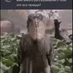 anybody got a microphone