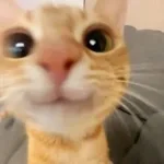 Coys death o clock (copy)