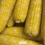 (4) Corn Rebus