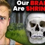 parker moooolest - Sound