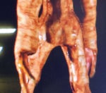 Hamoud Habibi [HD 60FPS]