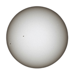 No  pomegranates no no no pomegranates