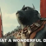 What a wounderful day