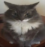 Bugbo but its my favorite parts