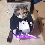 uncle roger domestic abuse sound