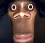 My Goofy Ahh Brother