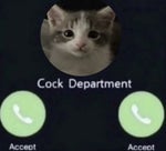 jennifers body 99.4931284859694% accurate