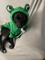 bye bye (slowed & reverb) mewing cat looksmax