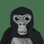 fake ip address 1 (copy)