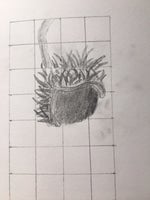 Average White Band Pick Up The Pieces