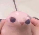 We're Finally Landing by home