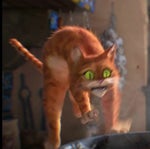 Fear me! If you dare