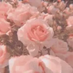 Majboor - Zoha Waseem  Lyrics