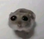 Fierro viejo que vendan