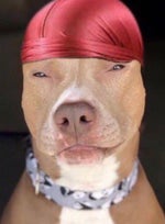 grand theft auto online text tone