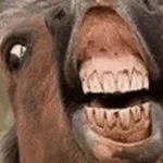 im lightheaded bro