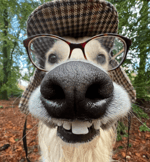 Animatronic Movement Sounds