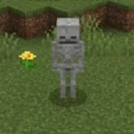 minecraft skeleton - Sound