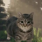 oiia cat X minecraft