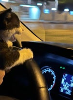 let it shine 609vool snippet looped