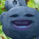 beatboxing blueberry