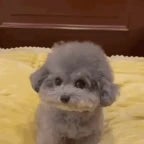 Let me knooooooooooow