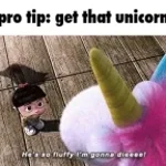 you dont get the unicorn