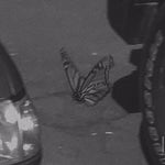 Plants vs Zombies Soundtrack 2 - Sound