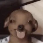 TUNG TUNG TUNG SAHUR SONG