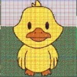 DupeDuckSMP
