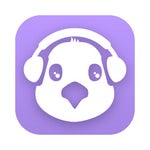 Let chaos untangle - Sound