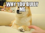 why you bully me? :(