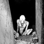 loyalist (first) -tomahawk angel