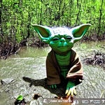 may the force be with you