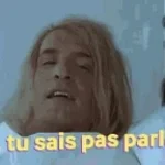 _Tu sais pas parler_ (Brice de Nice)