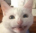 you’re gonna be brutally molested by sixteen autistic clowns