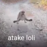 ATAKE LOLI IIIAAAAAAA